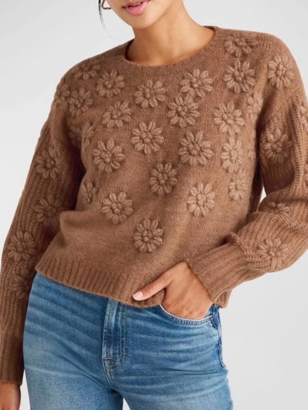 Splendid Collection Floral Embroidered Wool Blend Sweater Brown XL